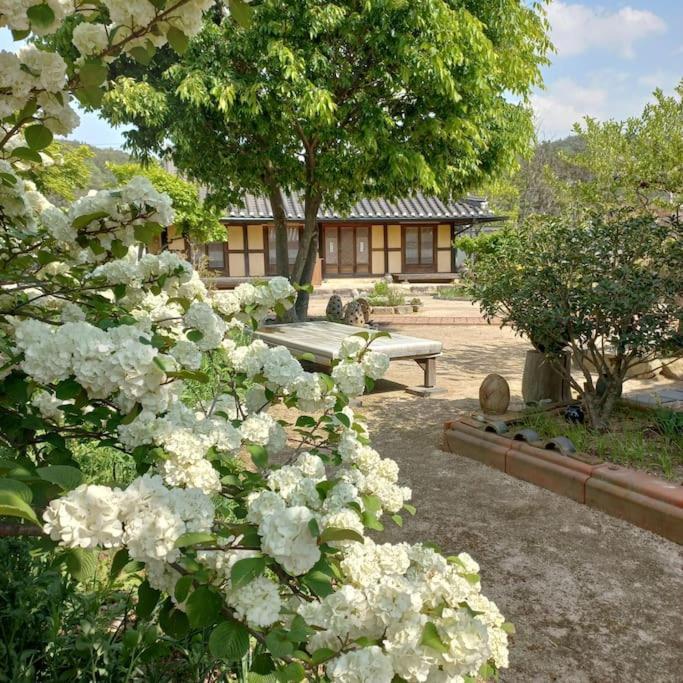 Yasun Gallery Gyeongju Luaran gambar